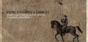 Entre Pássaros e Cavalos